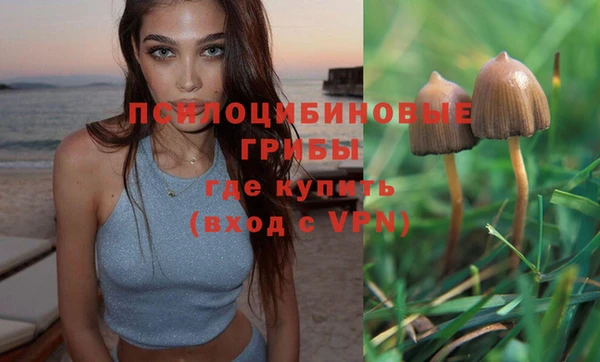 метамфетамин Аркадак