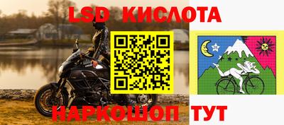 спайс Гатчина