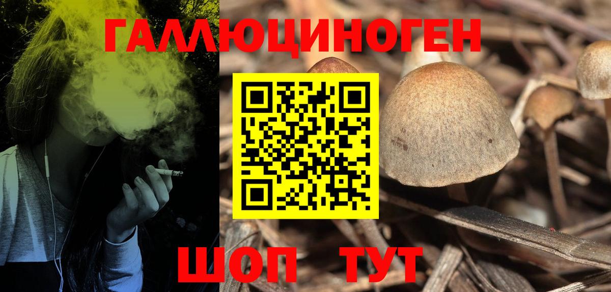 купить  сайты  Галлюциногенные грибы Magic Shrooms  Вход с VPN  Кировск 