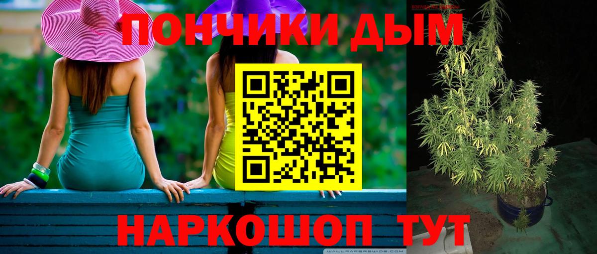 Шишки марихуана гибрид Кировск